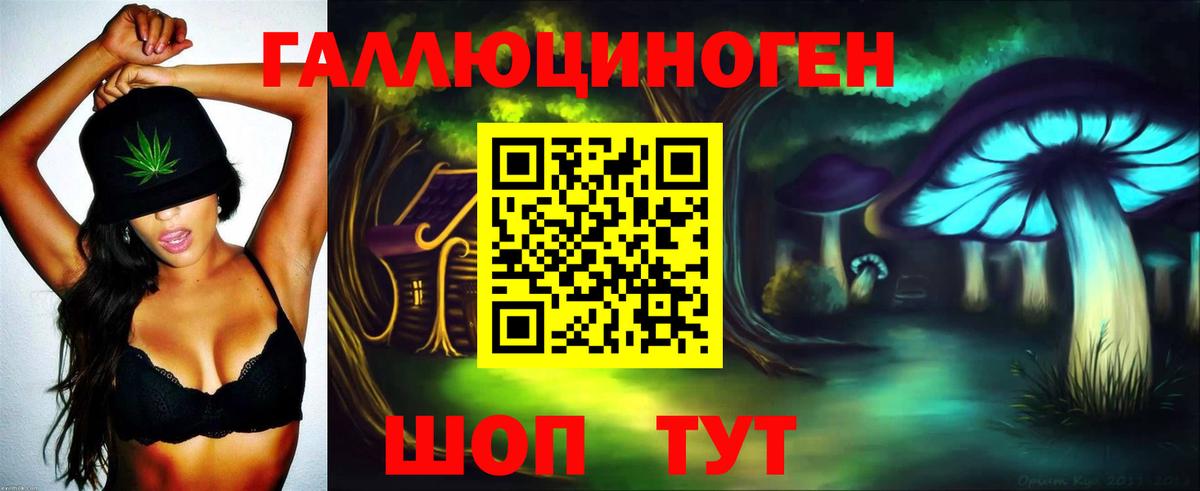 Малоярославец  что такое   Галлюциногенные грибы GOLDEN TEACHER  Вход с VPN  Галлюциногенные грибы прущие грибы 